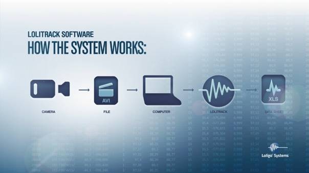 LoliTrack动物行为分析系统 LoliTrack动物行为分析系统