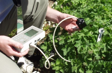 Handy PEA植物效率分析仪 Handy PEA植物效率分析仪