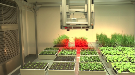PlantScreen高通量植物表型成像分析系统(XYZ三维成像版) PlantScreen高通量植物表型成像分析系统(XYZ三维成像版)