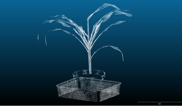PlantScree SC表型分析系统 PlantScree SC表型分析系统