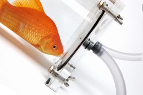多通道水生生物呼吸代谢测量系统 多通道水生生物呼吸代谢测量系统