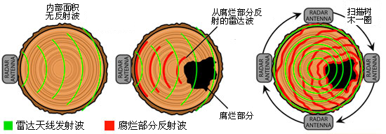 TRU树木雷达检测系统 TRU树木雷达检测系统