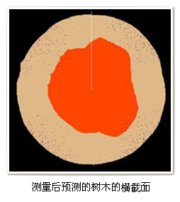 TRU树木雷达检测系统 TRU树木雷达检测系统