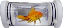 Q-Box AQUARESP水生生物呼吸代谢测量系统 Q-Box AQUARESP水生生物呼吸代谢测量系统