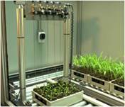 植被分析显示系统 植被分析显示系统