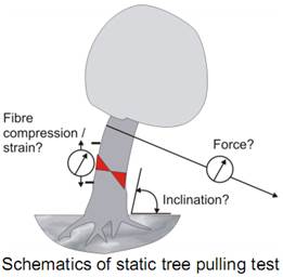 PiCUS TreeQinetic树木拉伸测试仪 PiCUS TreeQinetic树木拉伸测试仪